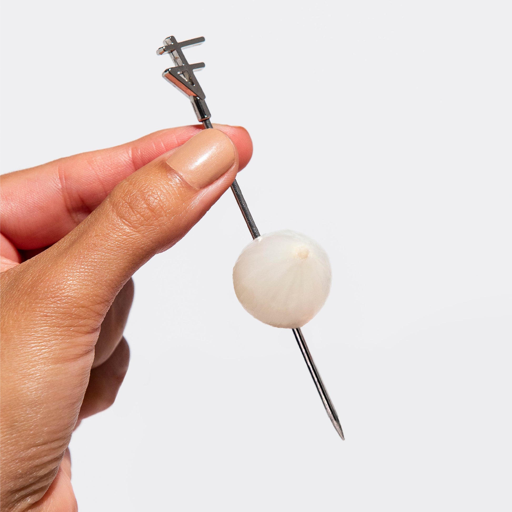 Filthy Food Onion img